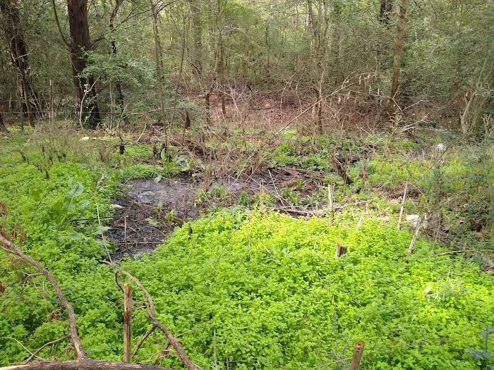 Sleepy Hollow Mobile Home Park Picture 6