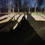 Hidden Pines RV Park and Storage