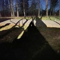 Hidden Pines RV Park and Storage ico
