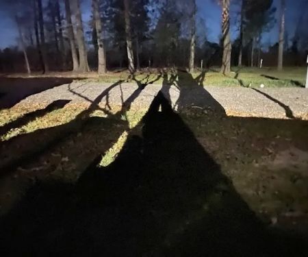 Hidden Pines RV Park and Storage