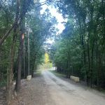 Cascading Falls RV Park