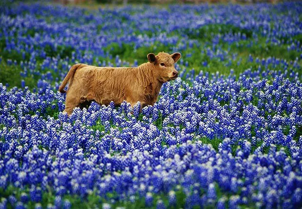 Naynees RV Park Picture 9