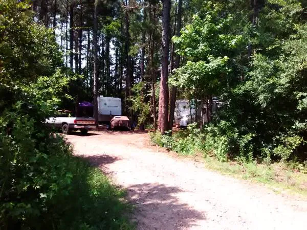 Rustic Pines RV Park of Hawkins, Texas Picture 1