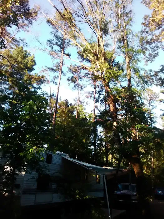 Rustic Pines RV Park of Hawkins, Texas Picture 10