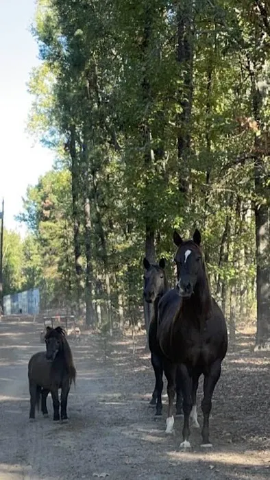 Pylant Farm Picture 1