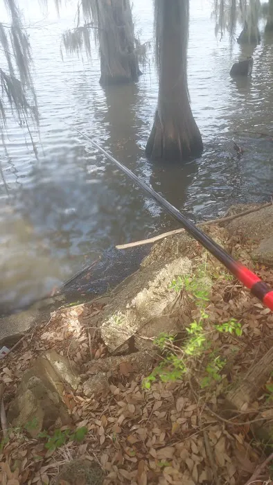 LesTer's on the Lake Picture 3