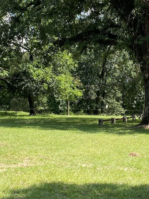 Hilltop Cabins and RV Campsites Picture 2