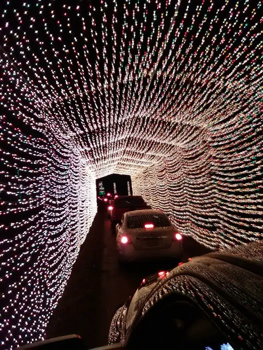 Millstead's Mobile Home Park Picture 10