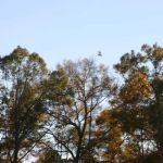 Calhoun Hills at 103 RV Park