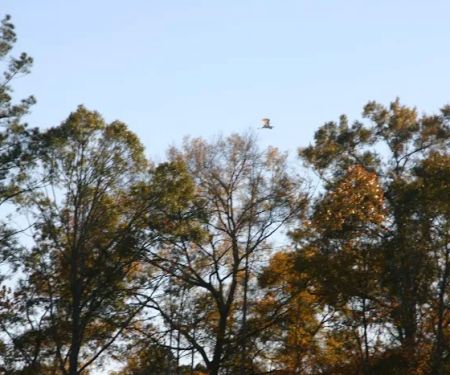 Calhoun Hills at 103 RV Park