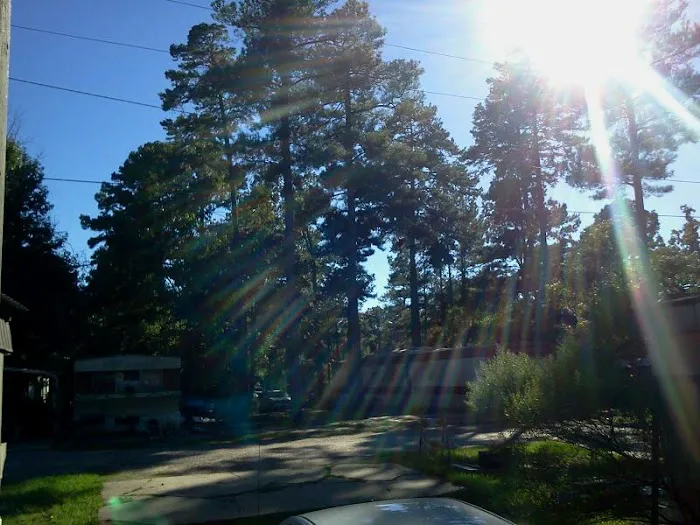 Pine Hill Mobile Home Park Picture 1