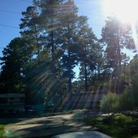 Pine Hill Mobile Home Park ico