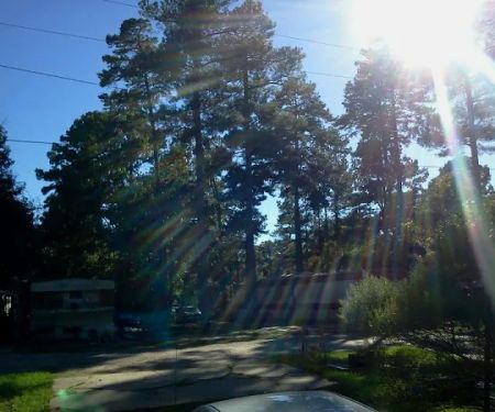 Pine Hill Mobile Home Park