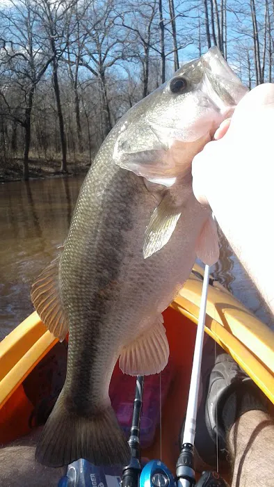 Twin Palms West Mobile Home Estates Picture 4