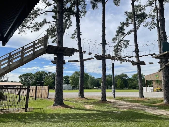 Gator Grounds RV Resort Picture 9