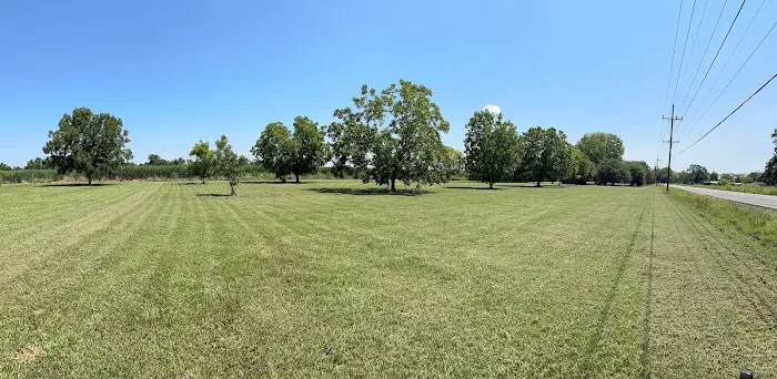 Born On Da Bayou RV Park Picture 6