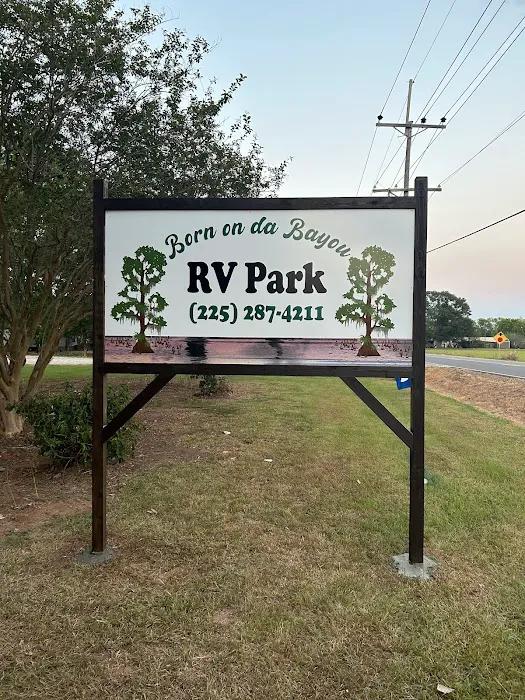 Born On Da Bayou RV Park Picture 7