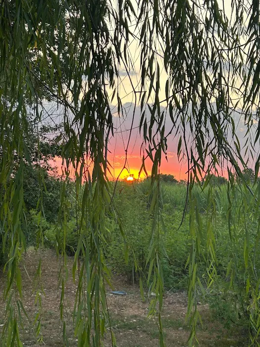 Born On Da Bayou RV Park Picture 10