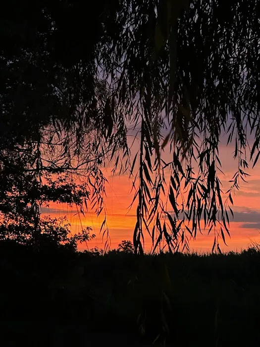 Born On Da Bayou RV Park Picture 1