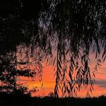 Born On Da Bayou RV Park