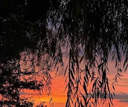 Born On Da Bayou RV Park