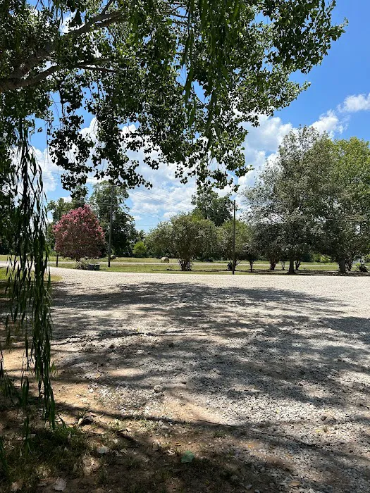 Born On Da Bayou RV Park Picture 5