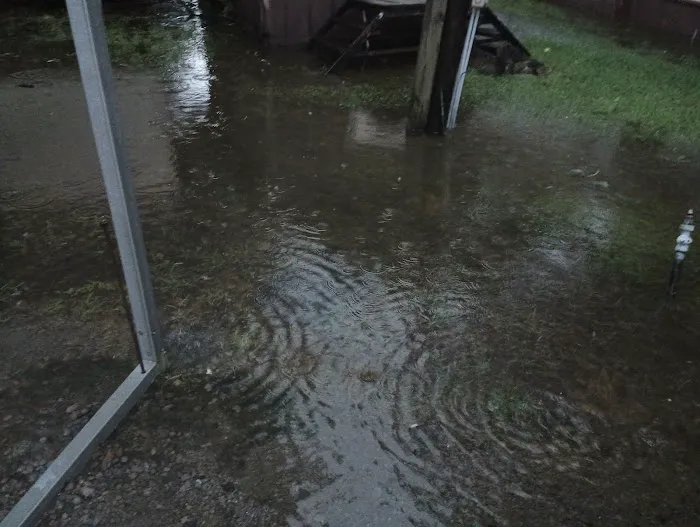 Charlie's RV Park Picture 3