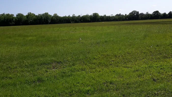 Bearazinga RV Park Picture 4