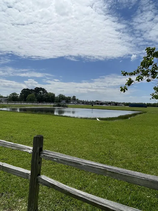 All Undercover RV Park Picture 6