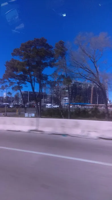 Texas Country RV Park Picture 3