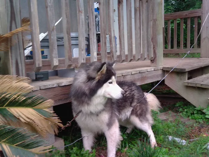 Caney Park Picture 4