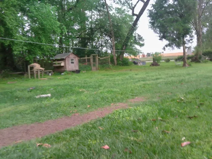 Caney Park Picture 8