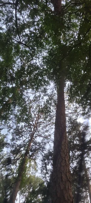 Peace Of Country RV Park Picture 1