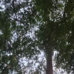 Peace Of Country RV Park