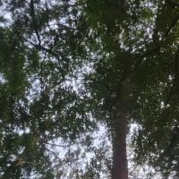 Peace Of Country RV Park ico