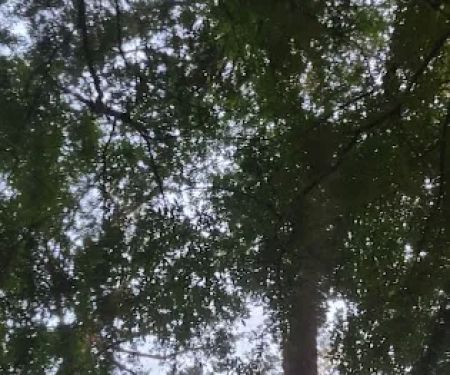 Peace Of Country RV Park