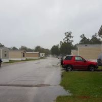 White Oak Estates ico