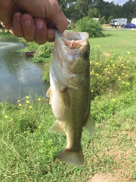 Little Lake RV Park Picture 4