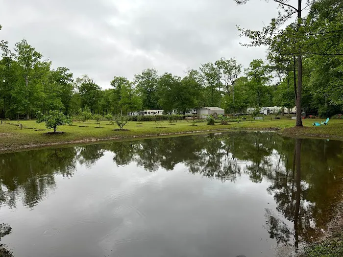 Crazy Grape RV Park LLC Picture 2