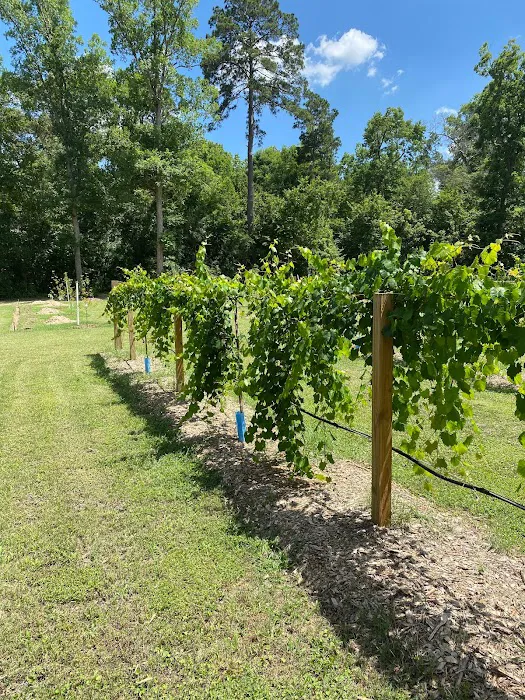 Crazy Grape RV Park LLC Picture 4