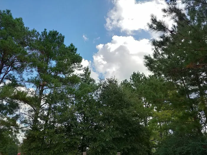 Cut N Shoot RV Park Picture 2