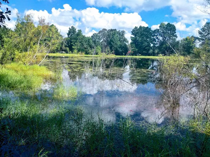 Cut N Shoot RV Park Picture 1