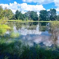 Cut N Shoot RV Park ico