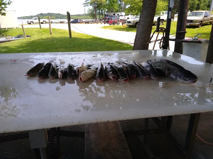 Westberry Landing & RV Park Picture 10