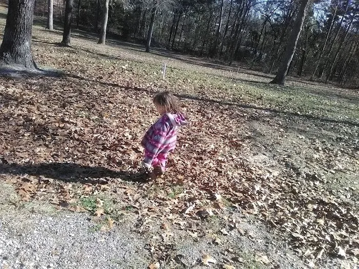 Anytime Rv Park Picture 10