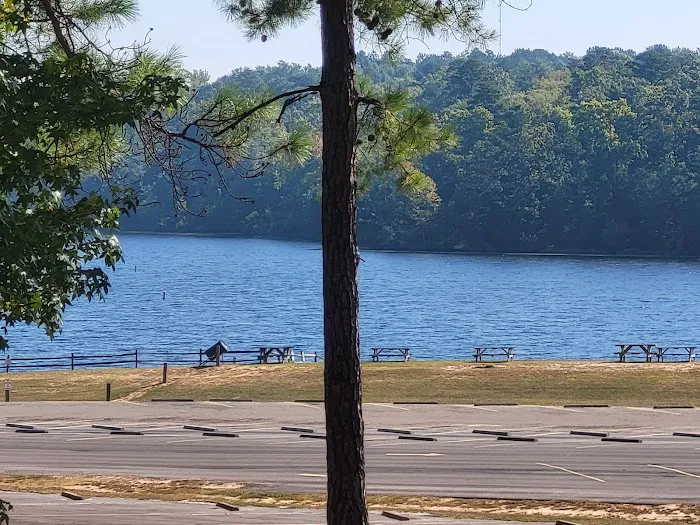 Lake Hawkins RV Park Picture 4