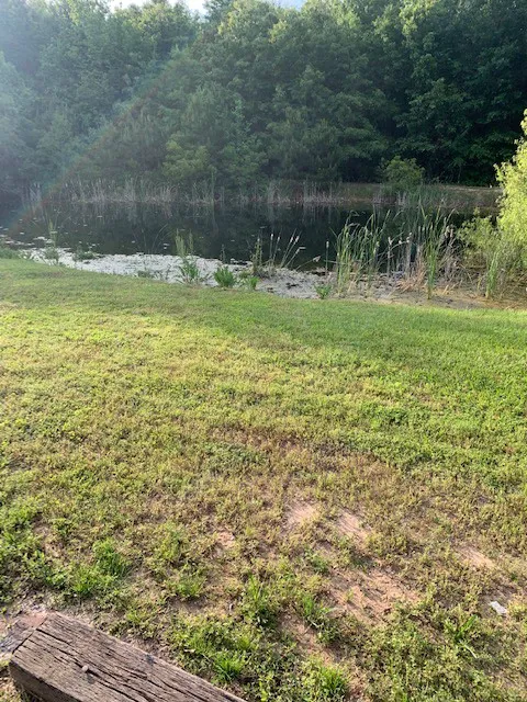 Little Oasis RV Park Picture 7