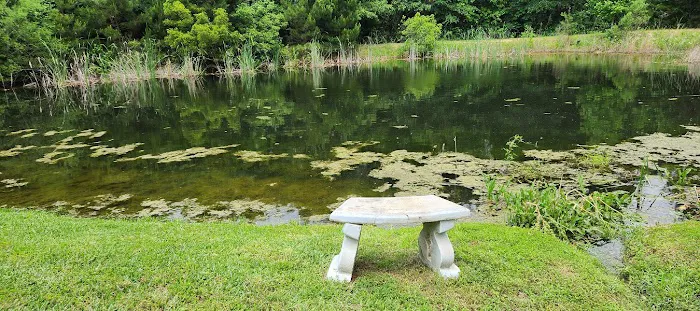 Little Oasis RV Park Picture 10