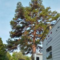 Dun Roamin' RV Park ico