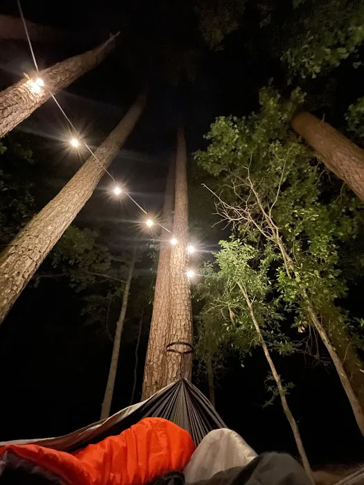 Rustic Pine RV Resort Picture 2